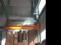 LX suspension crane